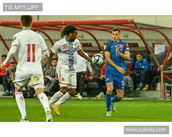 斯洛伐克U19对决波黑U19青年足球赛精彩瞬间回顾与分析